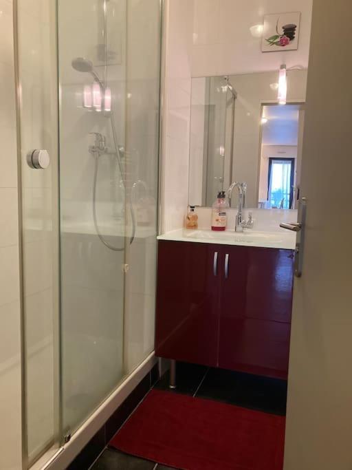 T3 - 62M2 - Parking Prive - Metro Appartement Toulouse Buitenkant foto